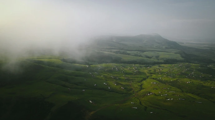 green grass field covered with fog